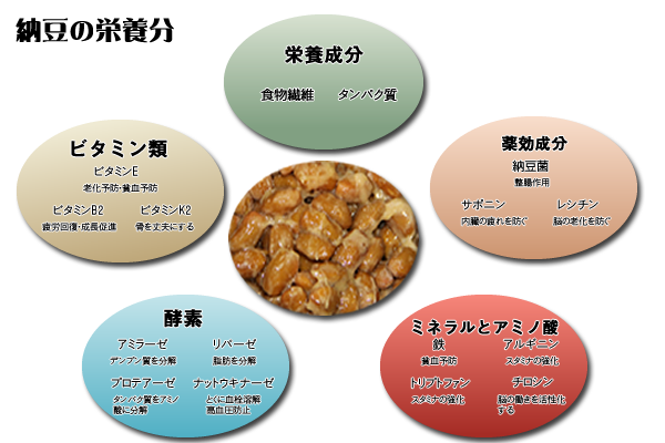 納豆の栄養分